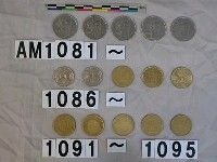 藏品(義大利100里拉硬幣)的圖片